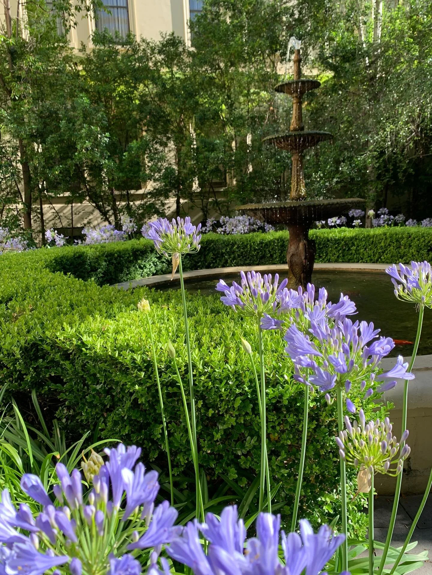 *exhale* Beautiful moments in the courtyard 🥰 

Dinner Monday to Saturday
Lunch Monday to Friday 
Breakfast everyday of the year!

@experienceadl @adelaideloves #adelaide #adelaidefood #adelaideloves #drinks #dinner #brunch #adelaidecoffee #adelaide