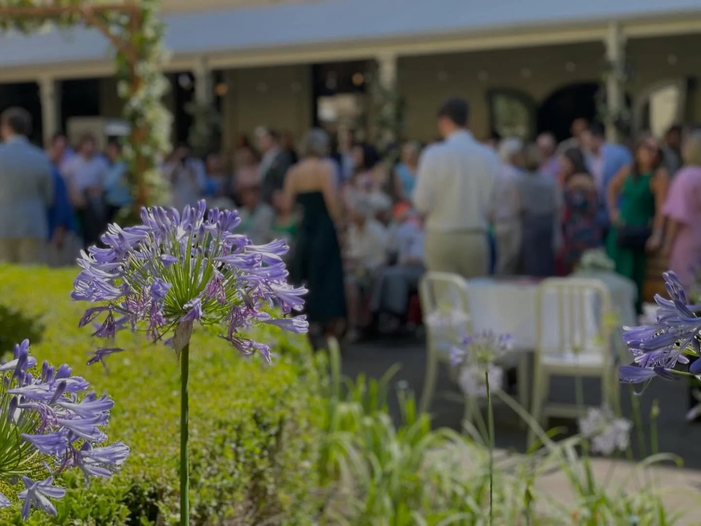 Stunning afternoon for drinks in the courtyard!

🍸 bar open:
M-F- 12pm to late
Sat- 3pm to late

#wine #beer #cocktail #gin #adelaide