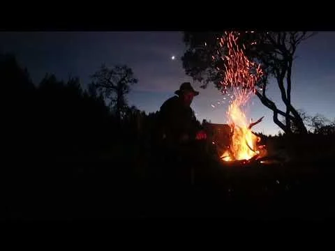 Quiet Night at The Cabin 