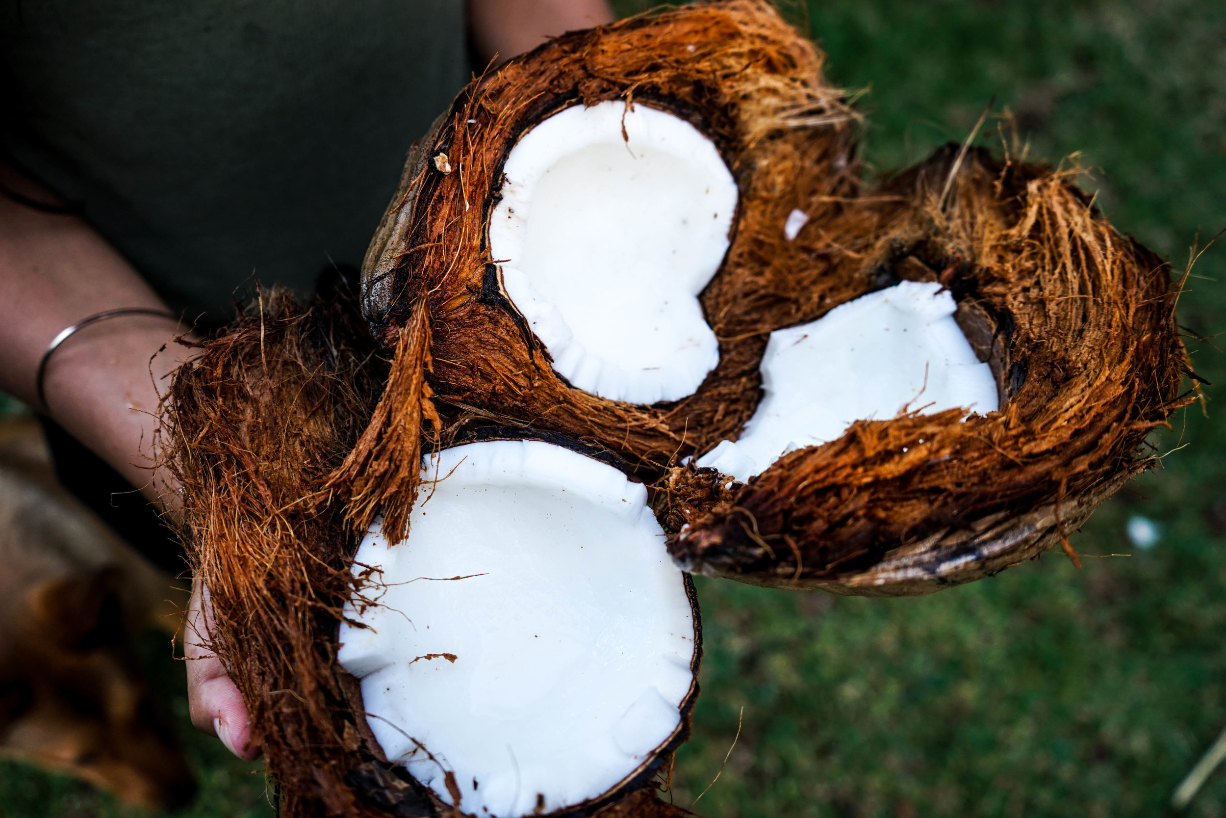 Coconut yogurt is a great dairy-free alternative to normal yogurt