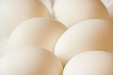 Growing a 'good egg'