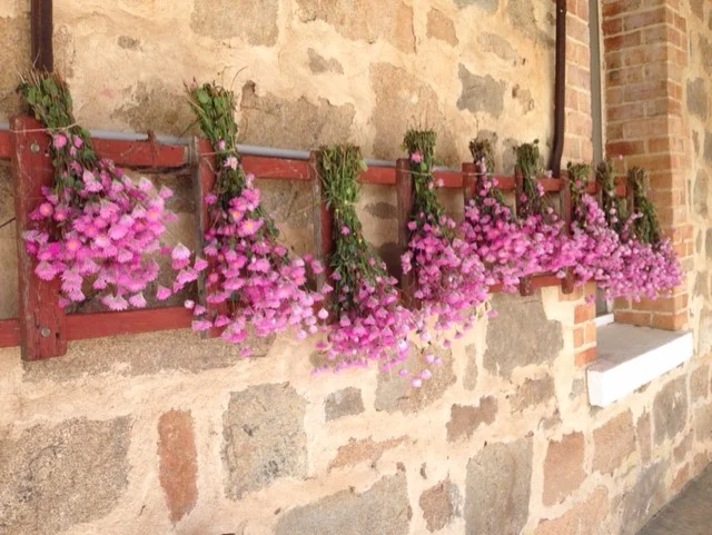 Hormones.... are yours leaving you hanging out to dry?