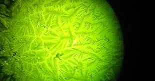 Ferning viewed under Fertility Microscope