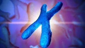 What makes chromosomes abnormal?