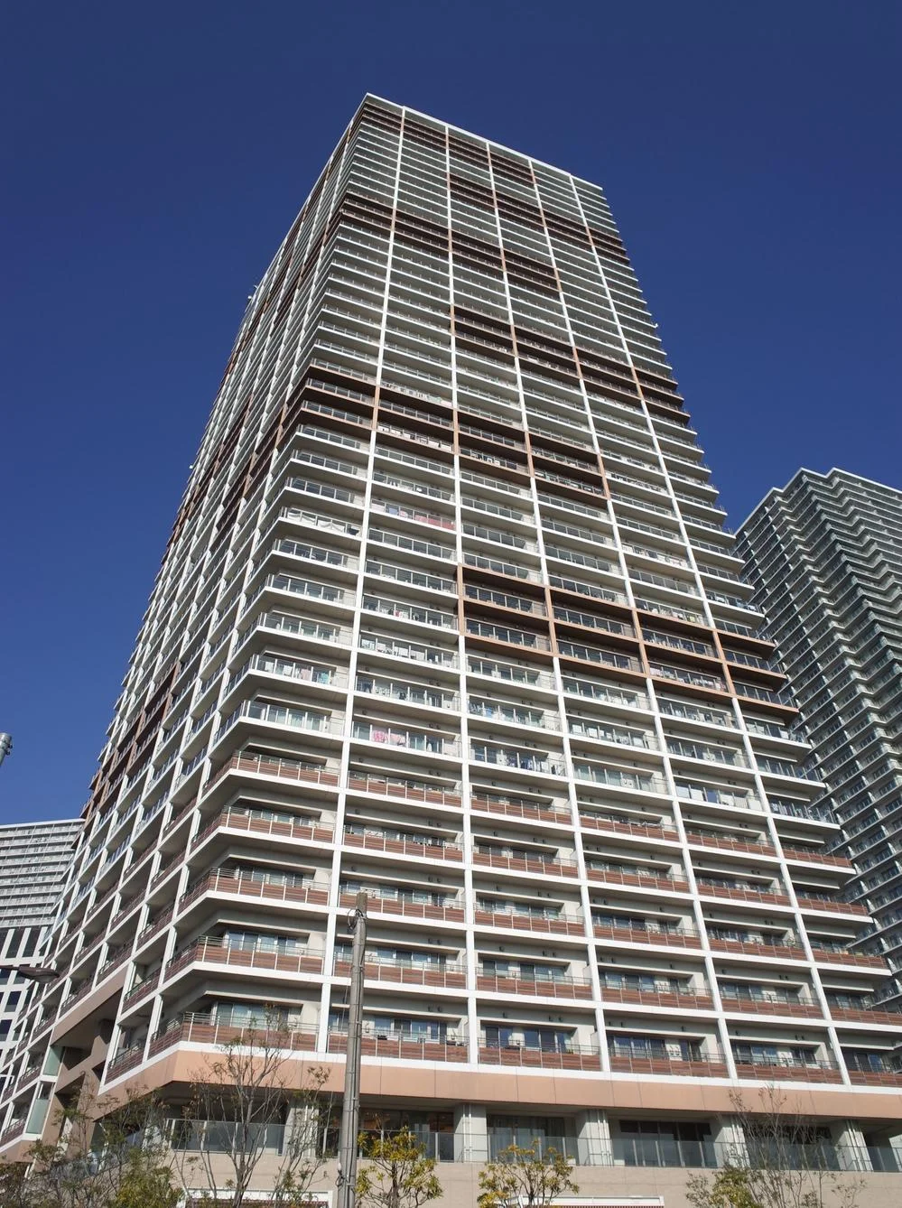 89549584_0003.jpg