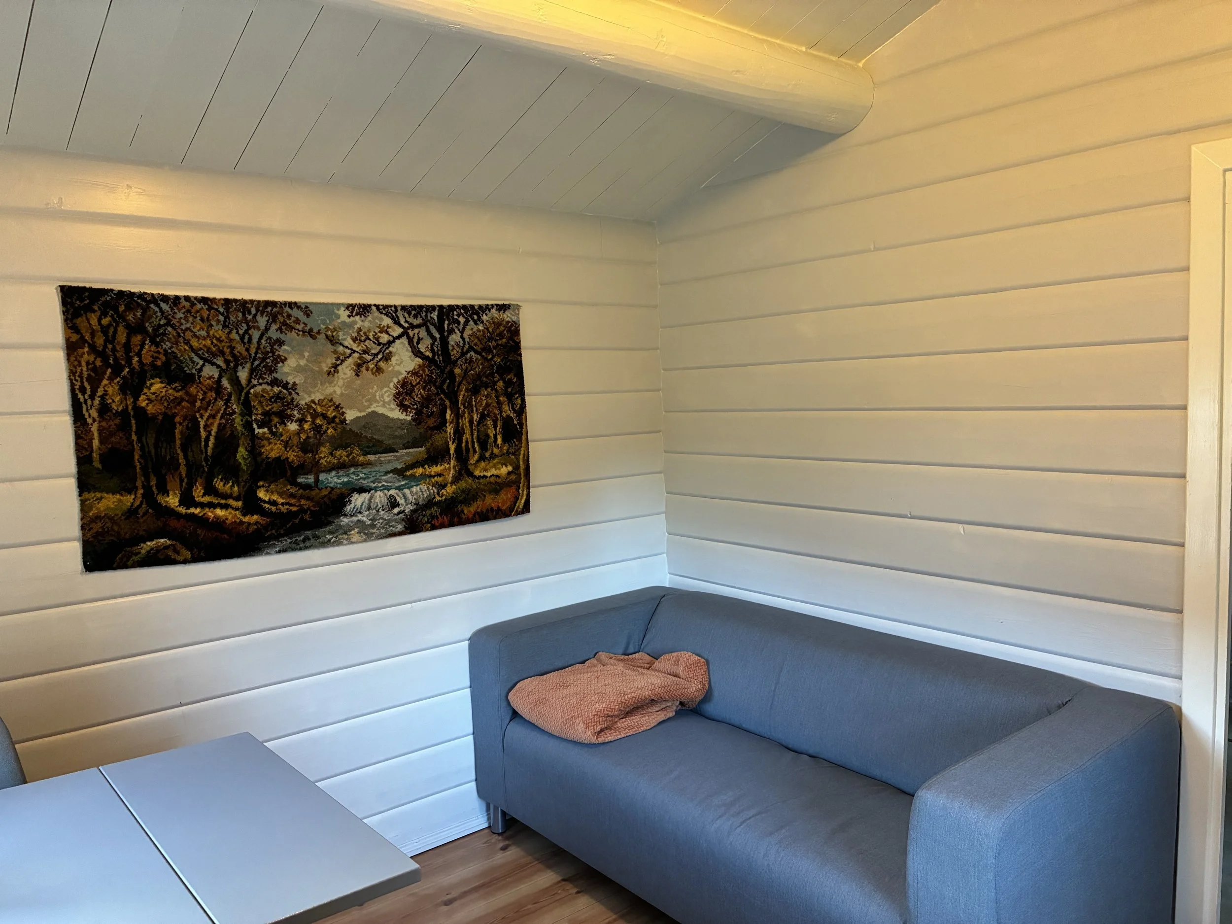 hytte 4 