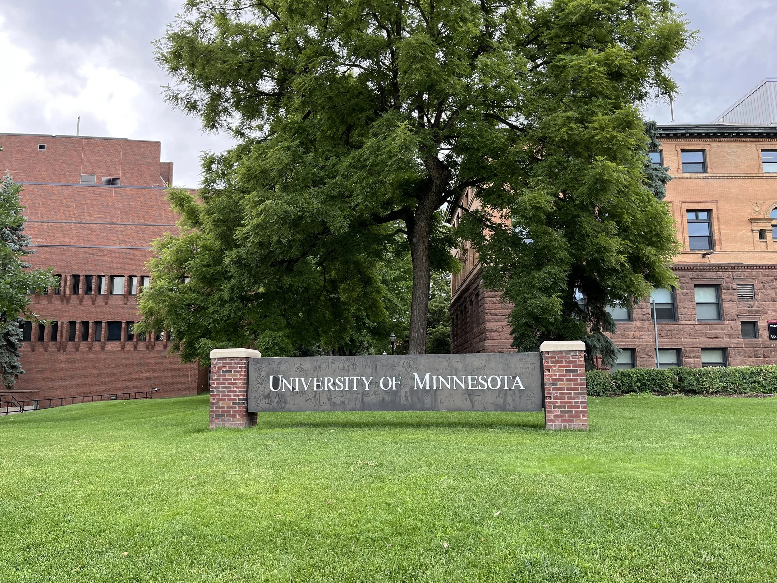 Konferenzbericht XXII. Biennial IASPM Conference, Minneapolis