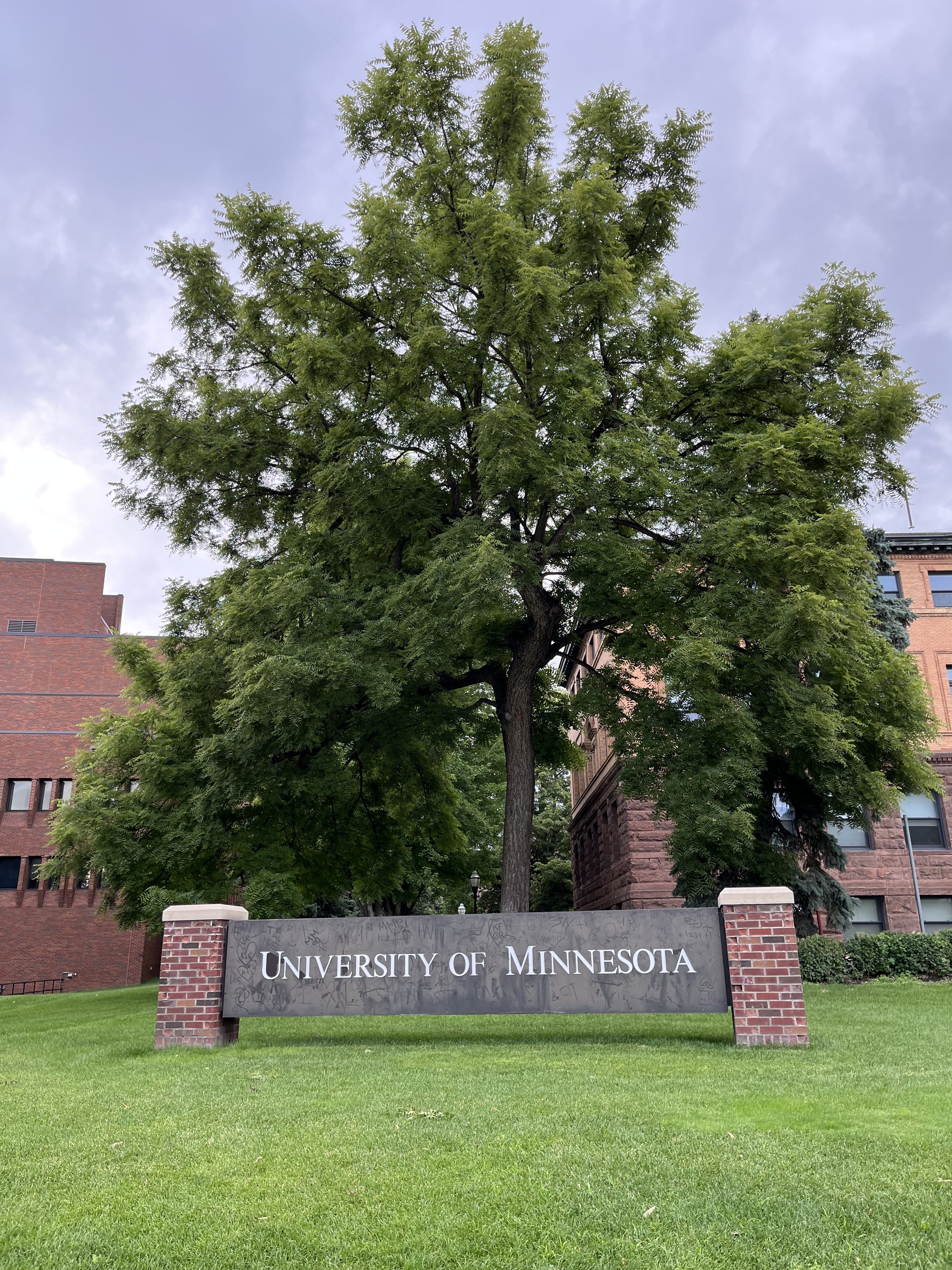  Campus University of Minnesota 
