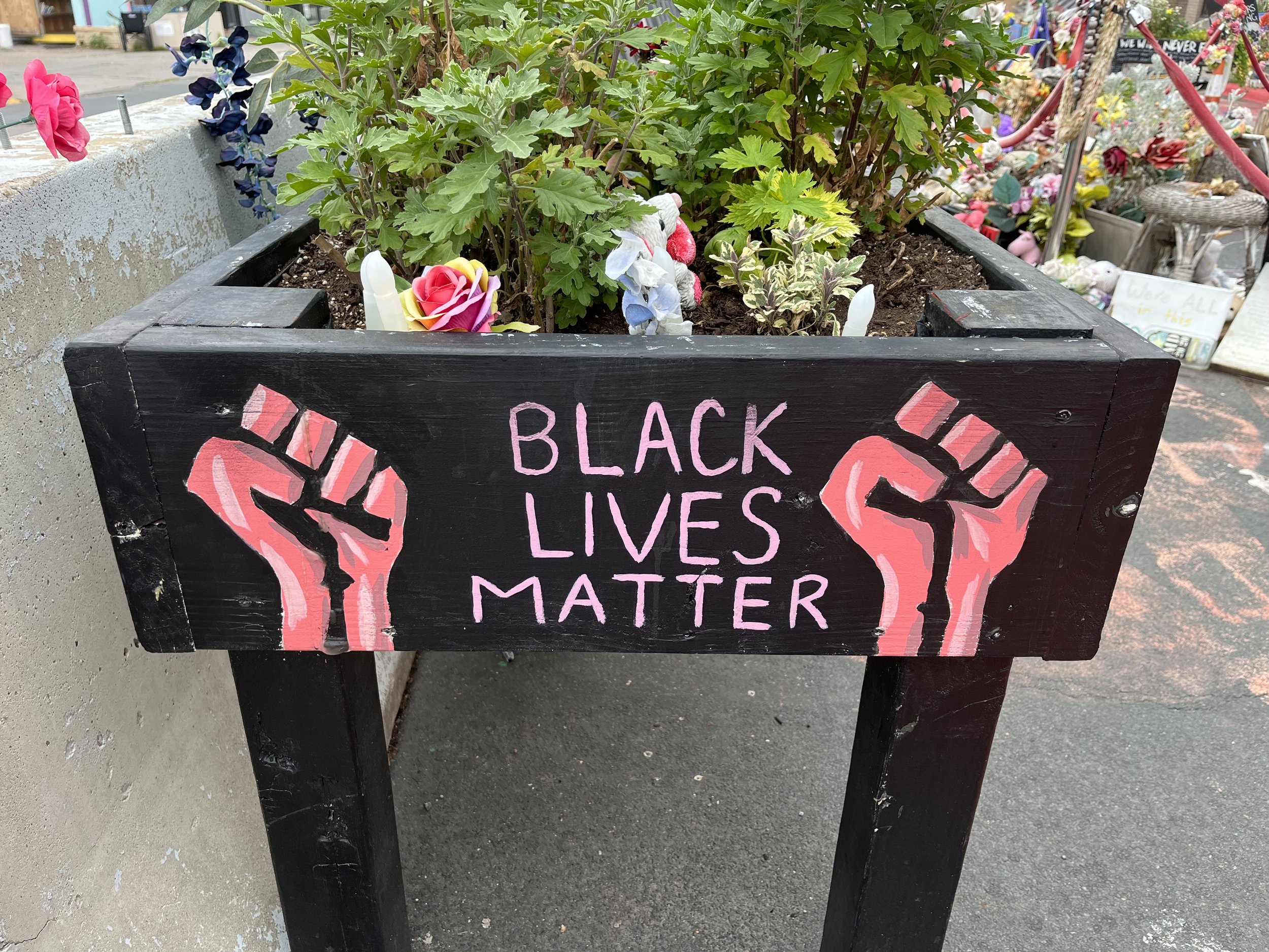  Black Lives Matter Movement 