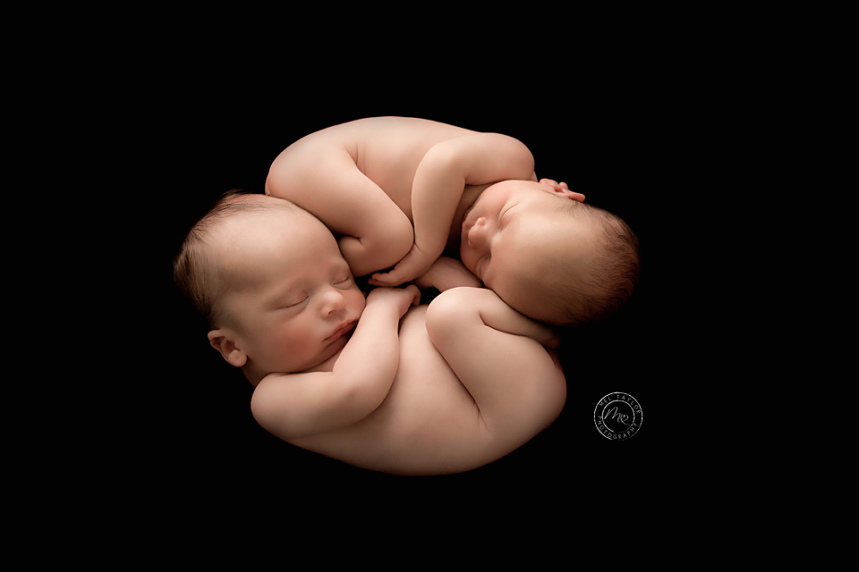 maitland-newborn-photography.jpg