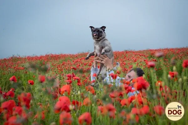 Boo-and-Poppies-2.jpg