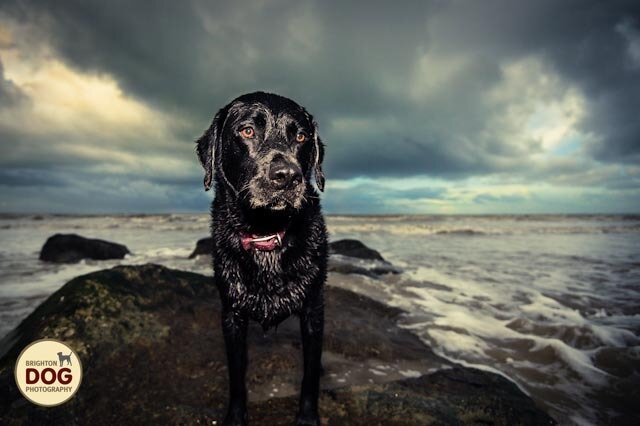2-shot-cloudy-day-by-sea.jpg