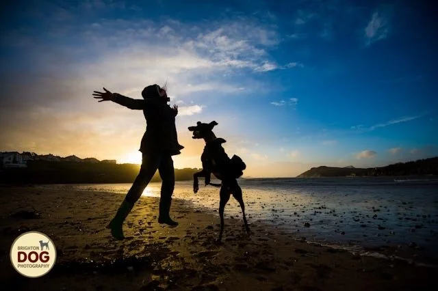 silhouette.jpg