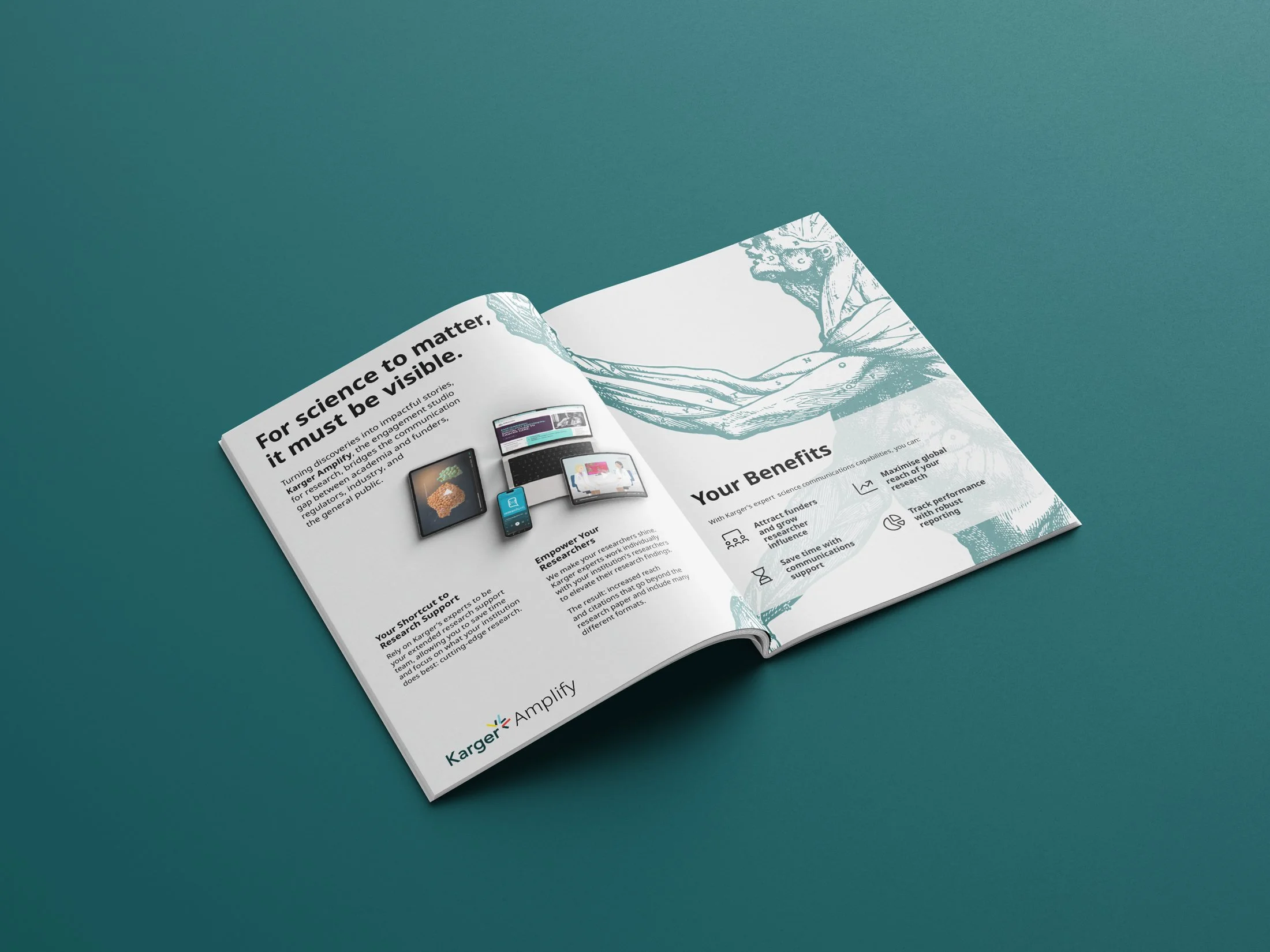 Amplify_Brochure_Mockup_Spread_01_v2.jpg