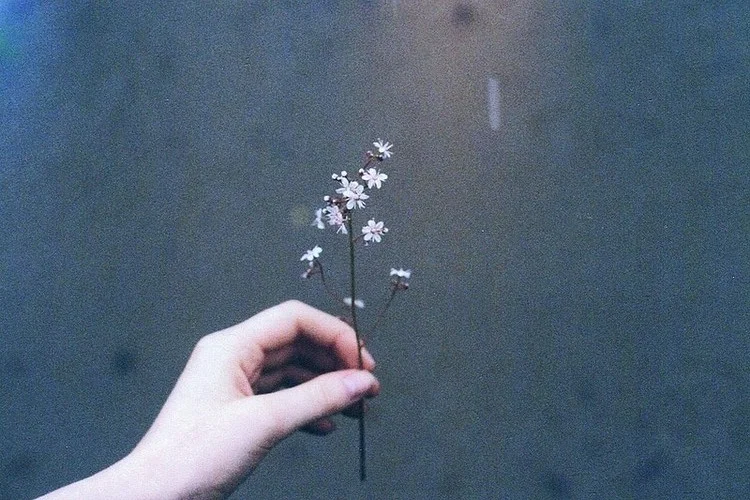 tumblr_mydvv5zHe11sim94uo1_500.jpg
