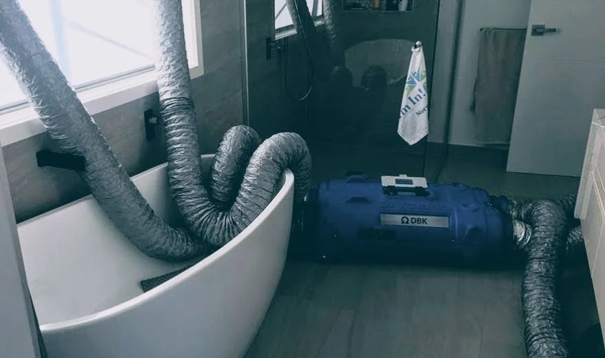 Job of the month - December 2017