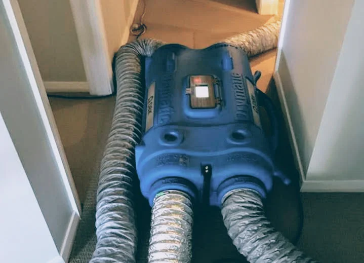 Job of the month, Drymatic Australia Structural Heat drying.jpg
