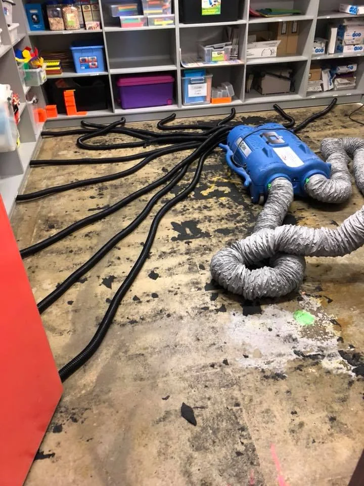 Oct 2018 Photo of the month, Drymatic Australia.jpg