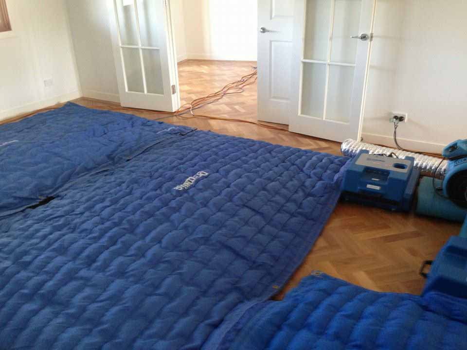 Drymatic Floor Mats20.jpg