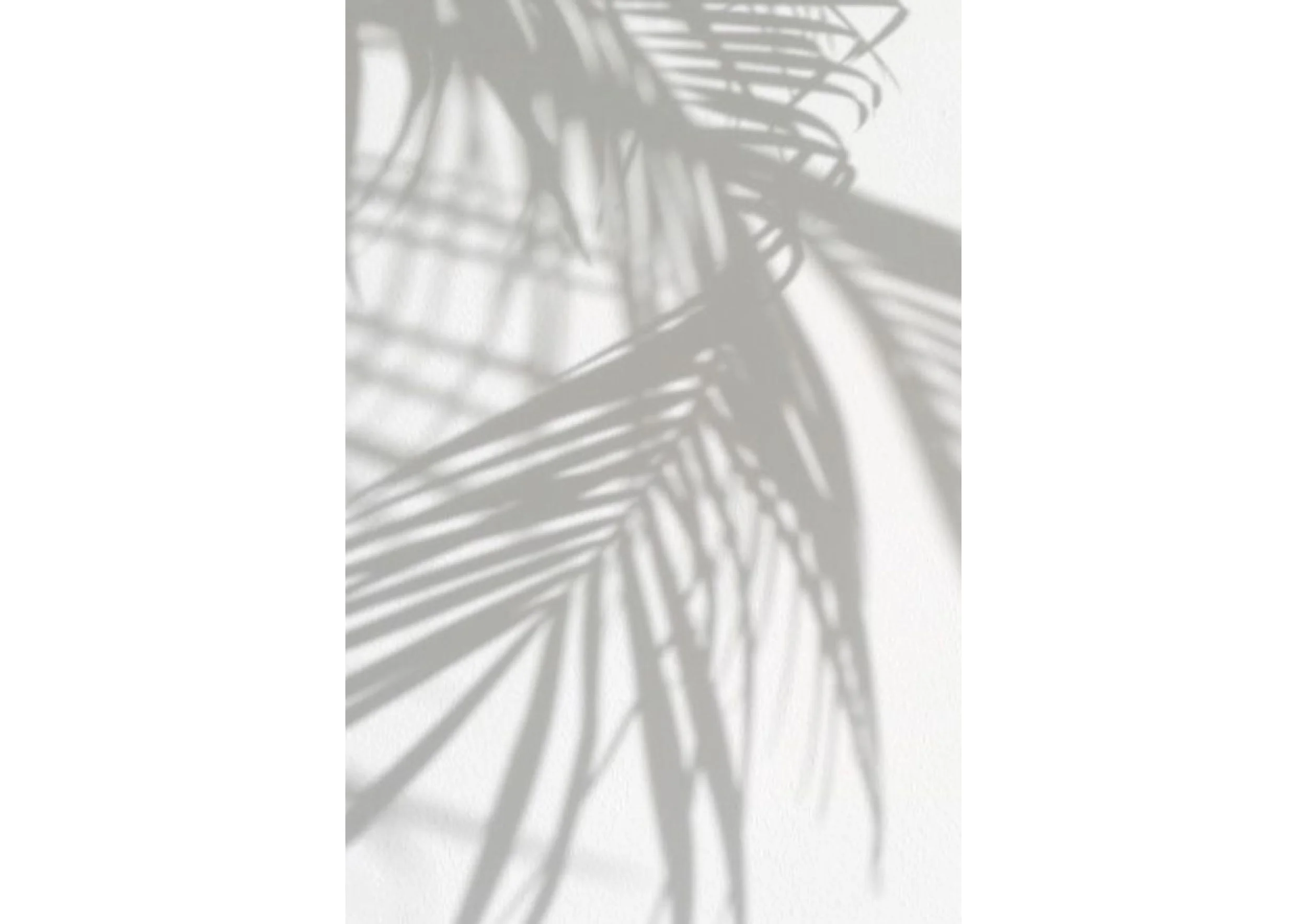 mimicing nature2.jpg