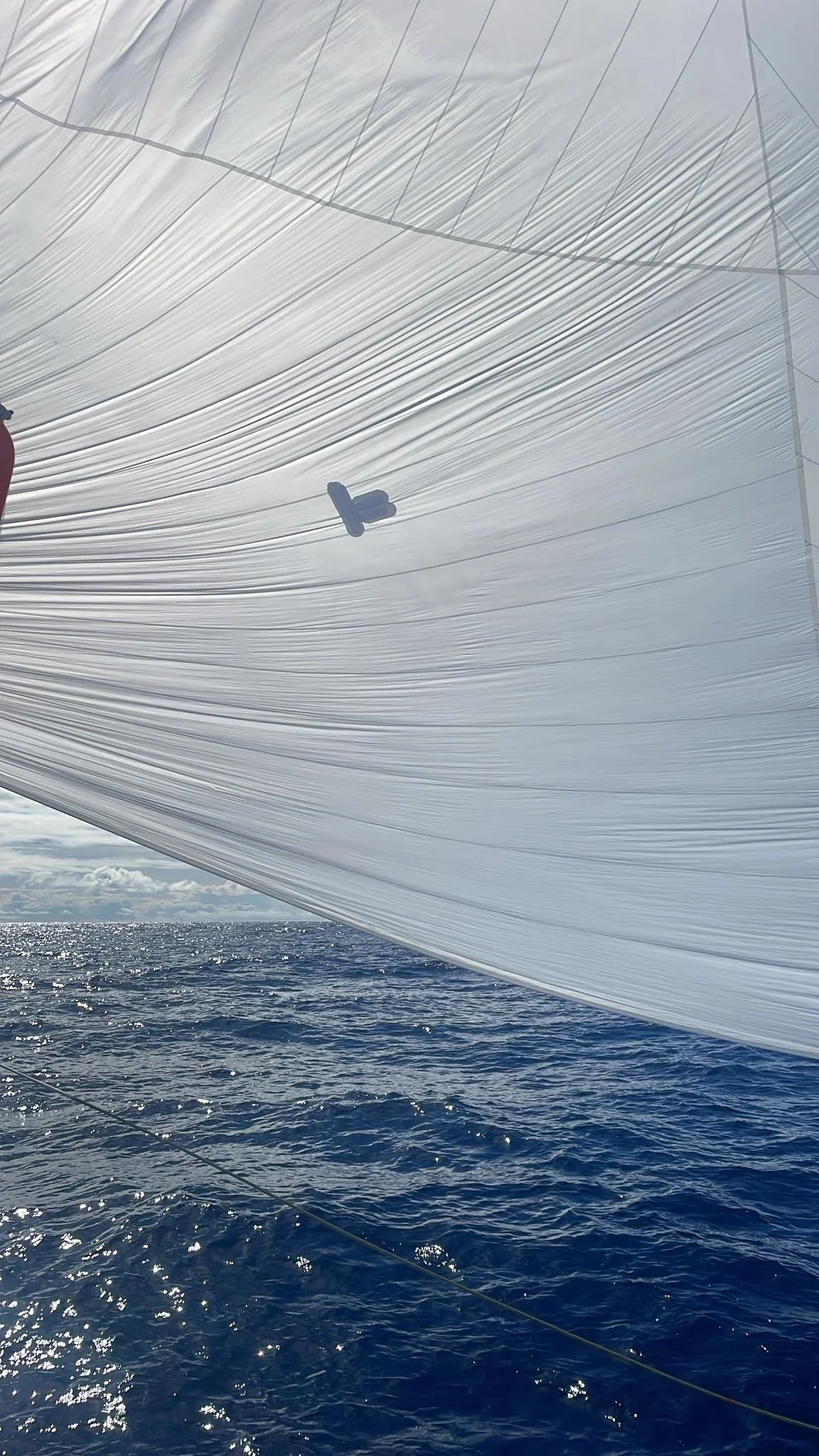 Spinnaker réparé et renvoyé !