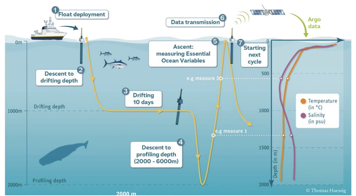Cycle du flotteur Argo
