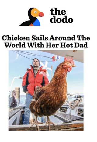 Chicken Sails Around The World With Her Hot Dad