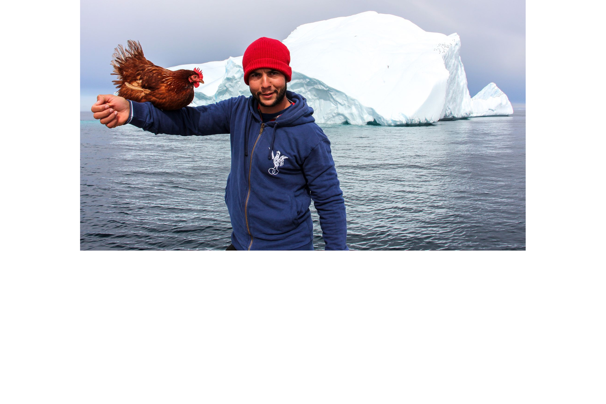 Carte postale "Bien arrivés au Groenland"