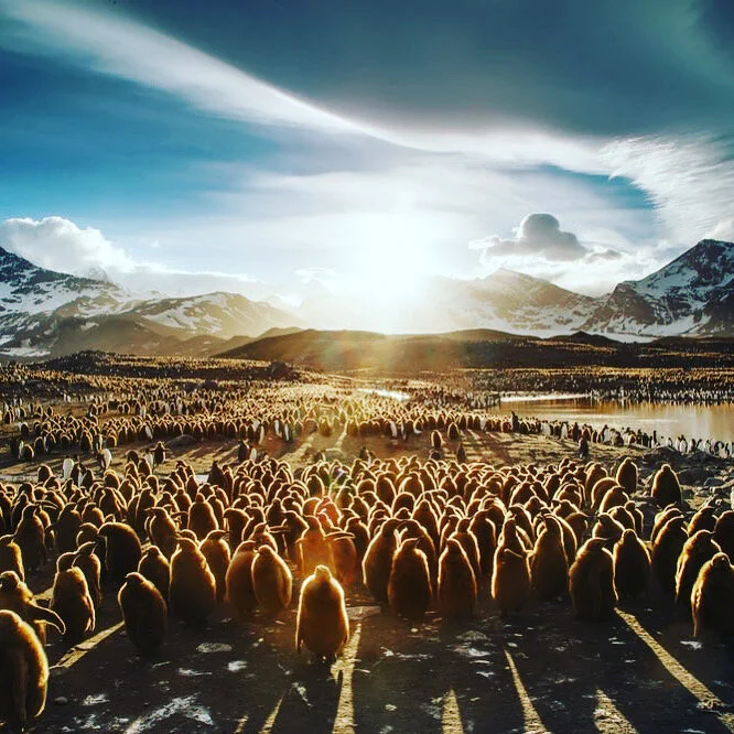 Beautiful Consideration