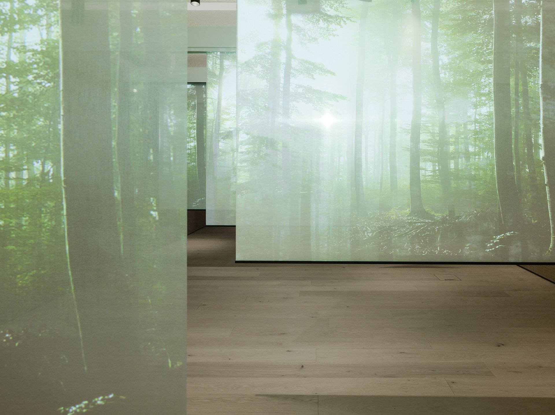 voice-lift-amadeus-acoustics