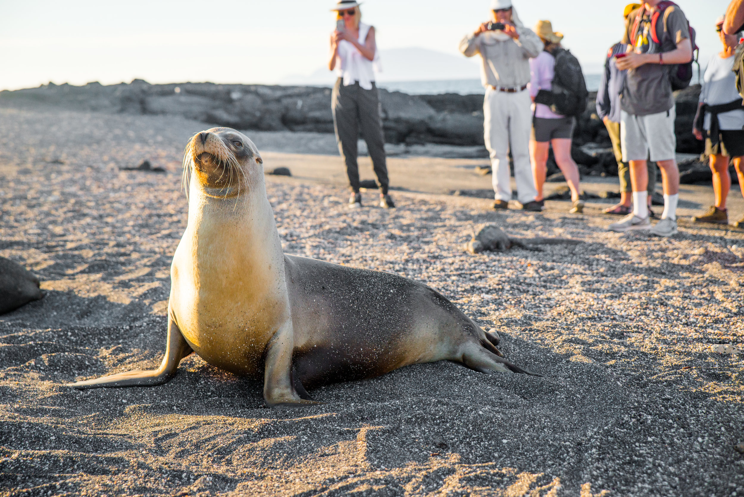 Galápagos-16.jpg
