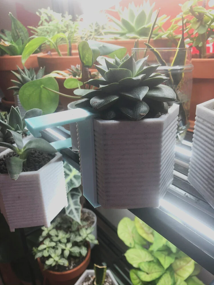 succulent hangers1.jpg