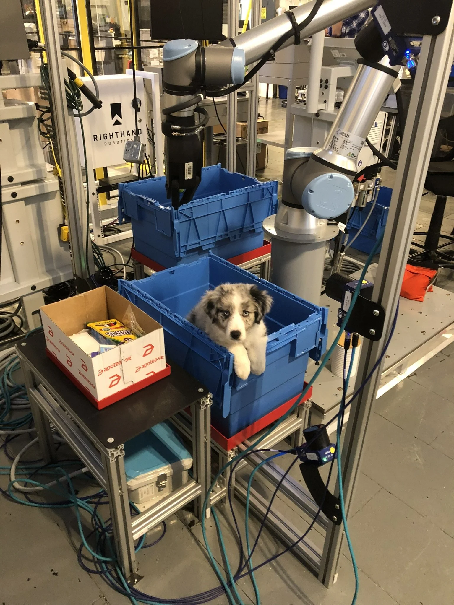 Resident Office Snack Consultant