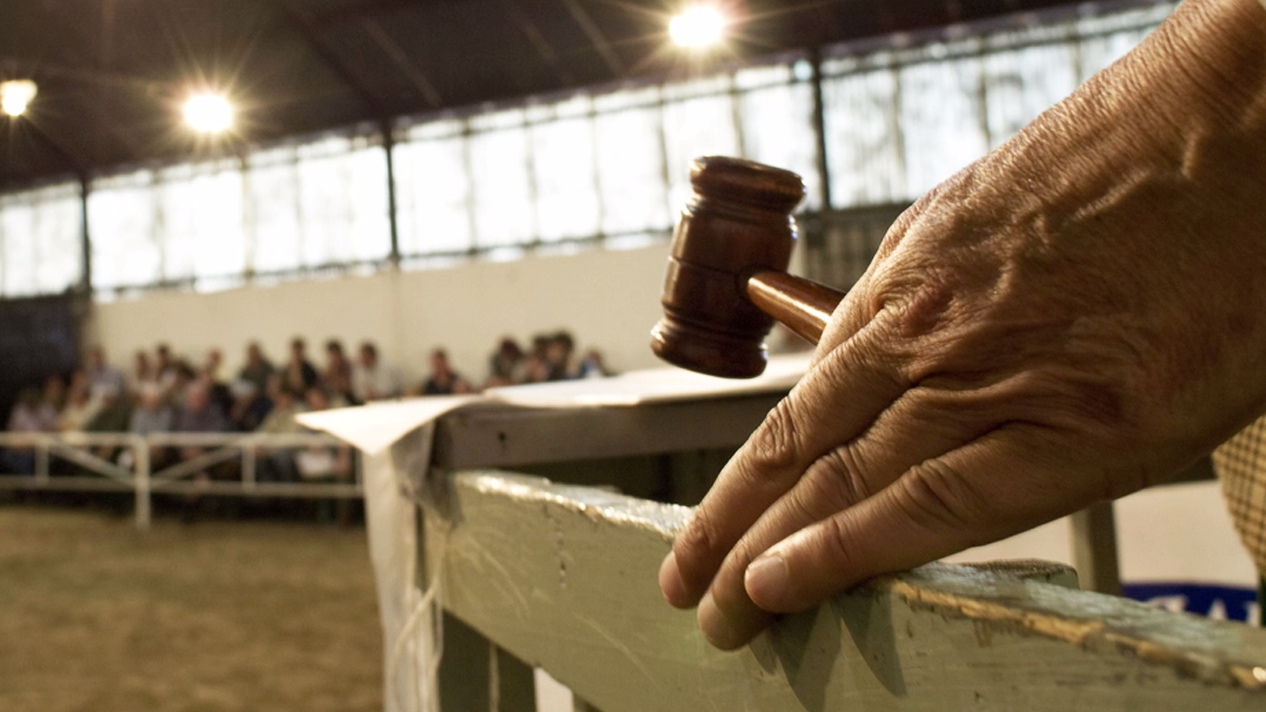 Screen Shot 2017-12-04 at 10.21.57 PM.png