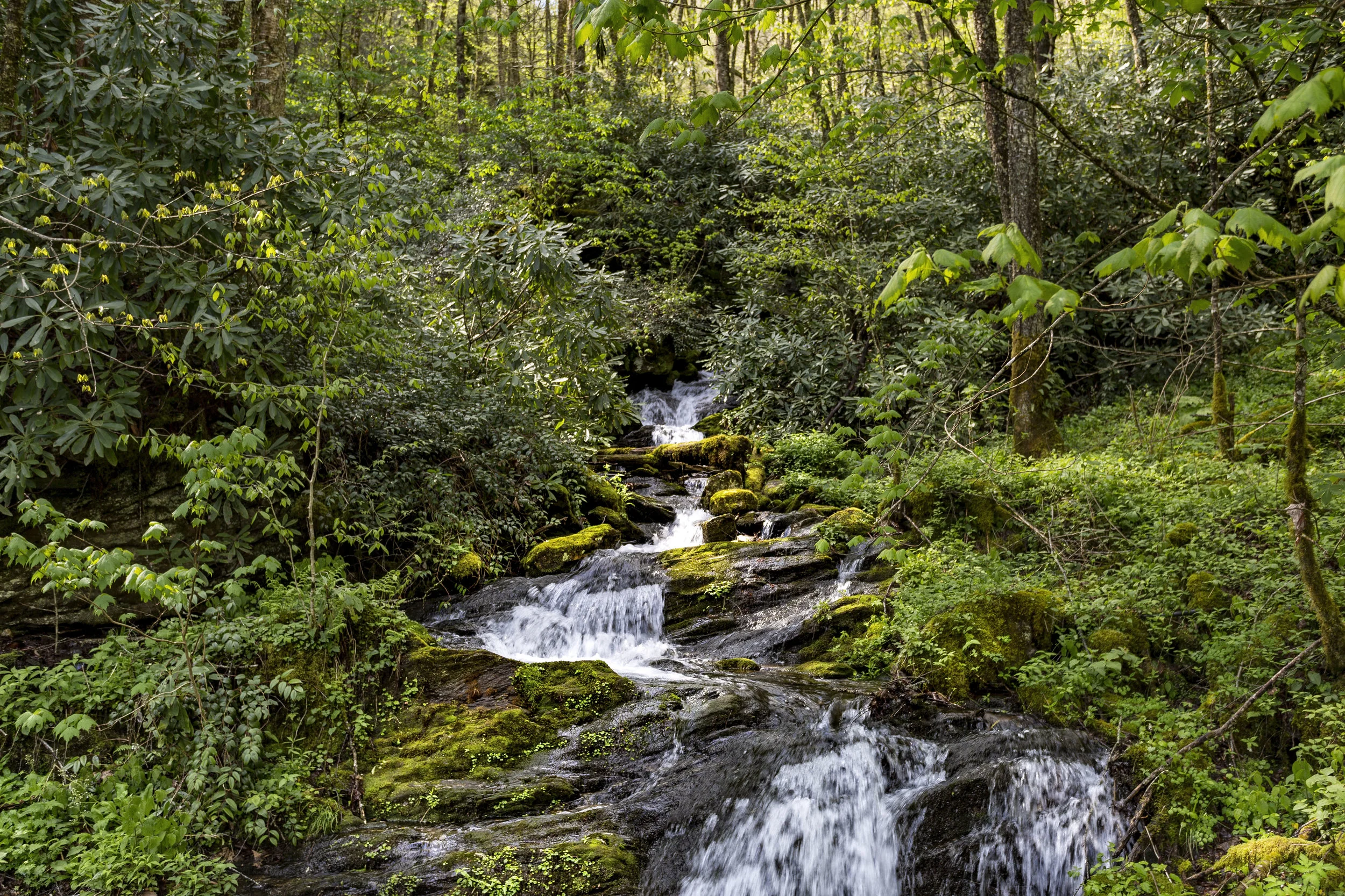 Black Rock Creek
