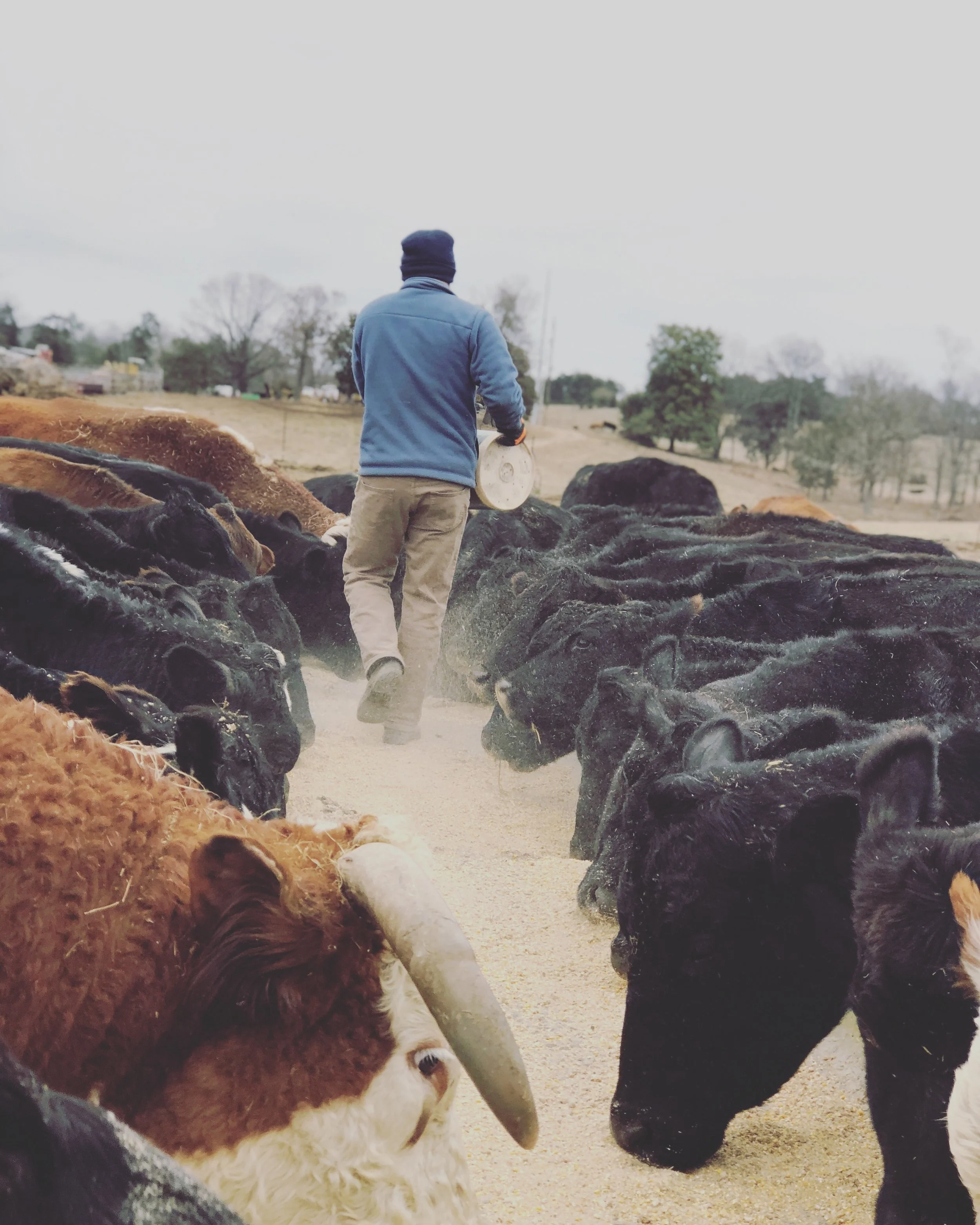 Winter Never Lasts Forever