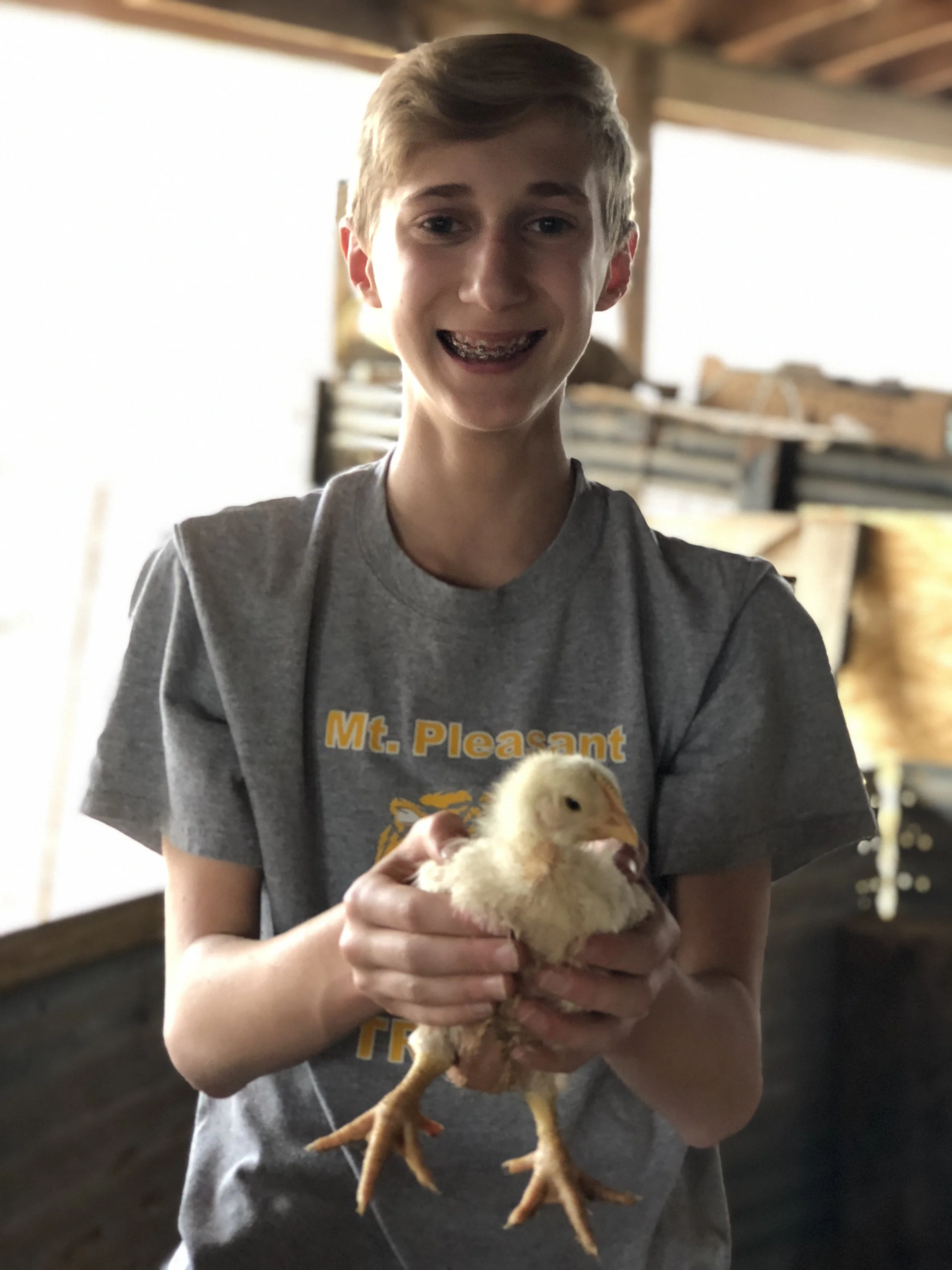 Time To Go Outside Chicks