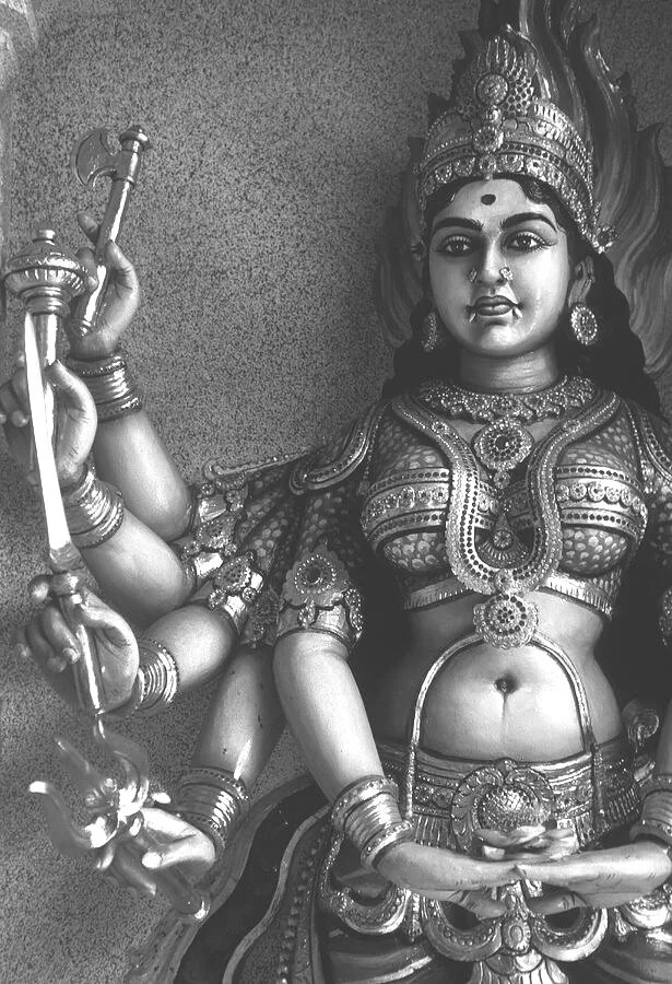 kali 2.jpg