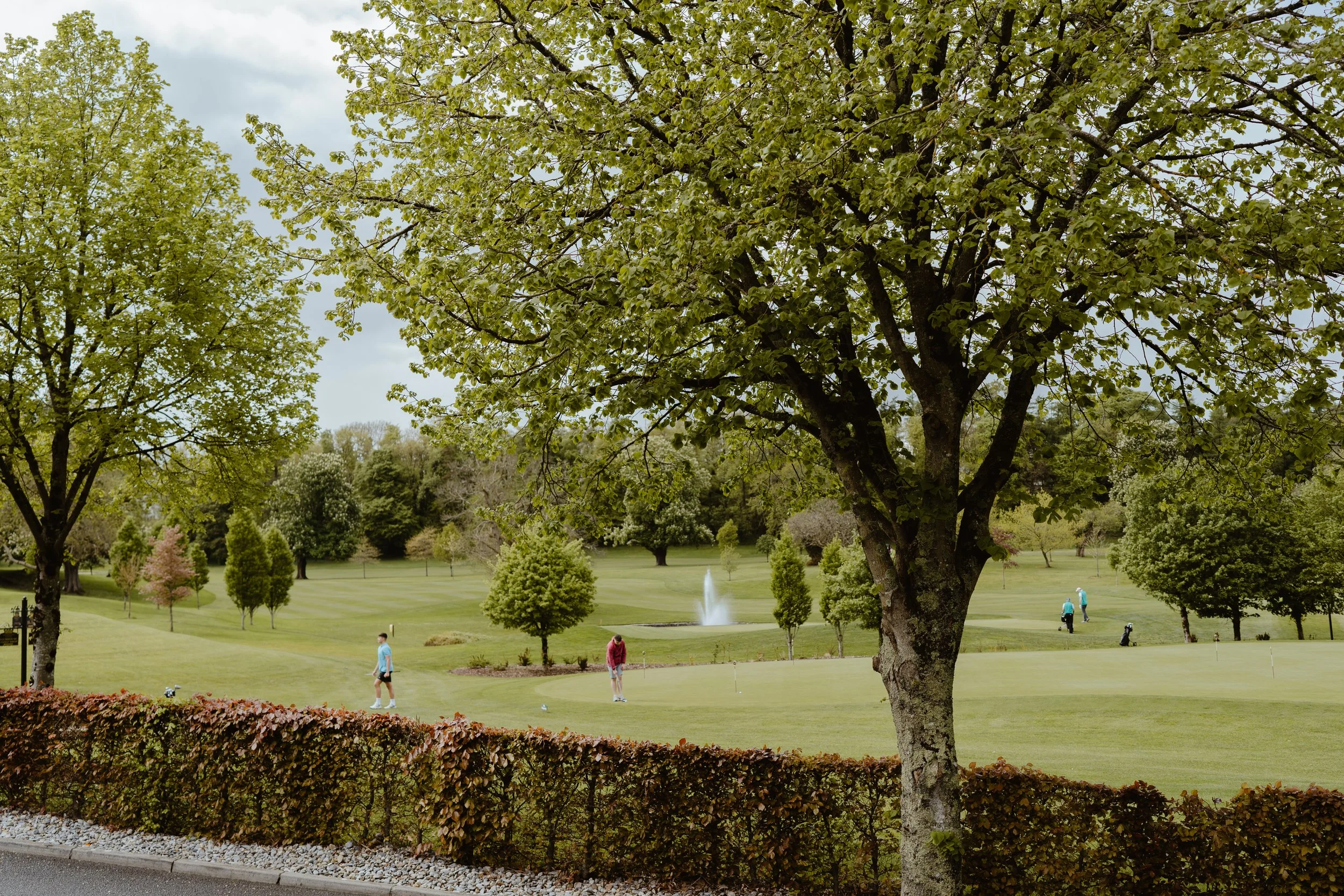 Dromoland-Tripadvisor-YamilaPavía-TheLuupe-189.jpg