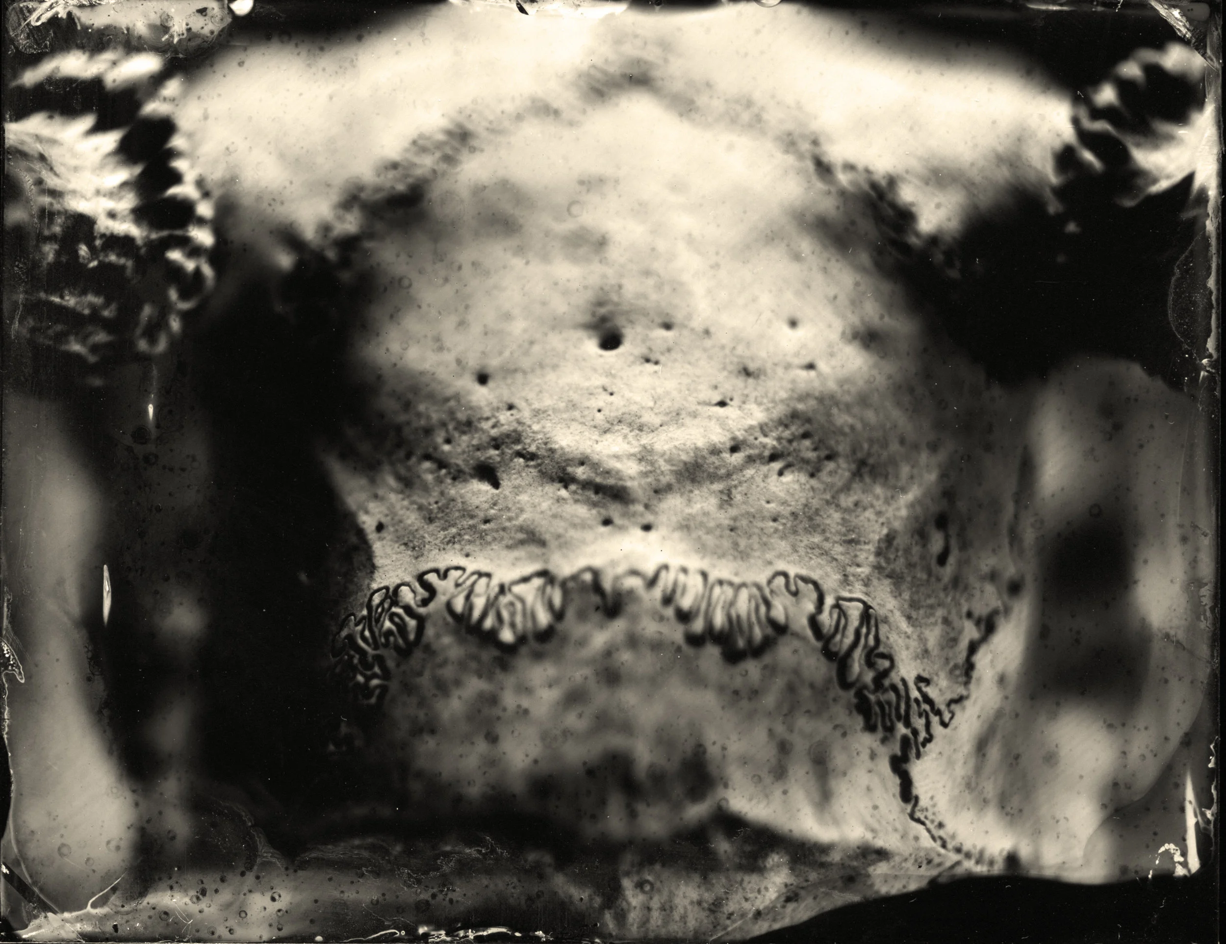 Satans Skull