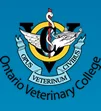 Kate Bishop-Williams featured in the Ontario Veterinary College Bulletin