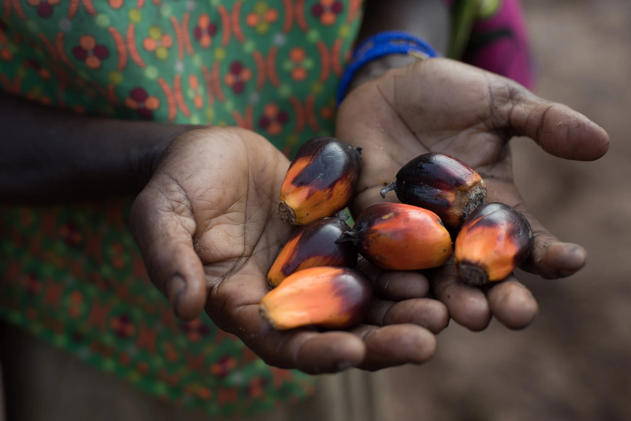 Promoting Indigenous health in a rapidly changing world The IHACC program