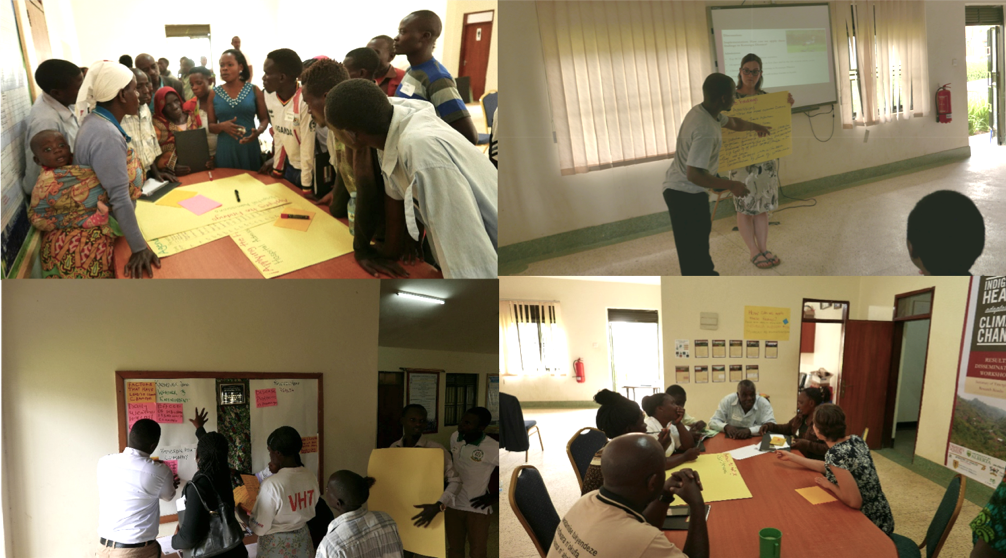 Groups discuss and share during participatory breakout sessions.
