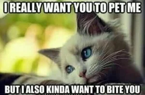 Yep…it was exactly like that