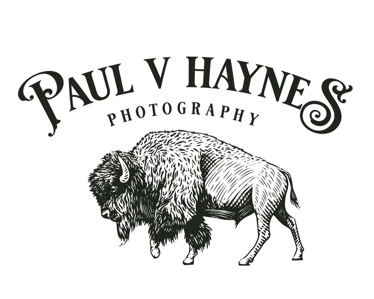 Paul Haynes