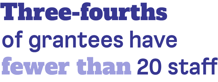 Stat: 3/4 of grantees have fewer than 20 staff