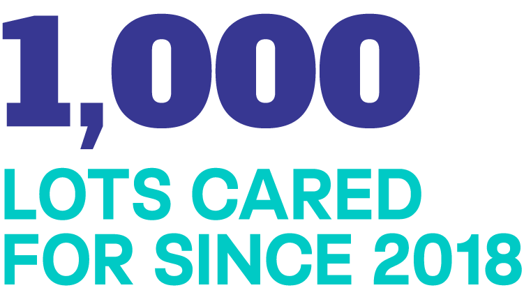 Stat: 1,000 lots cared for since 2018