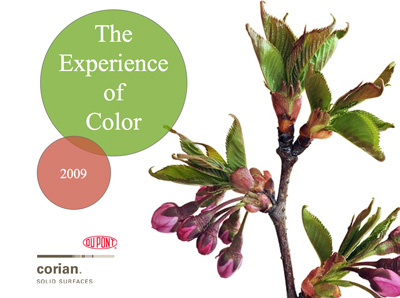 Web_DuPont_Experience-of-Color.jpg