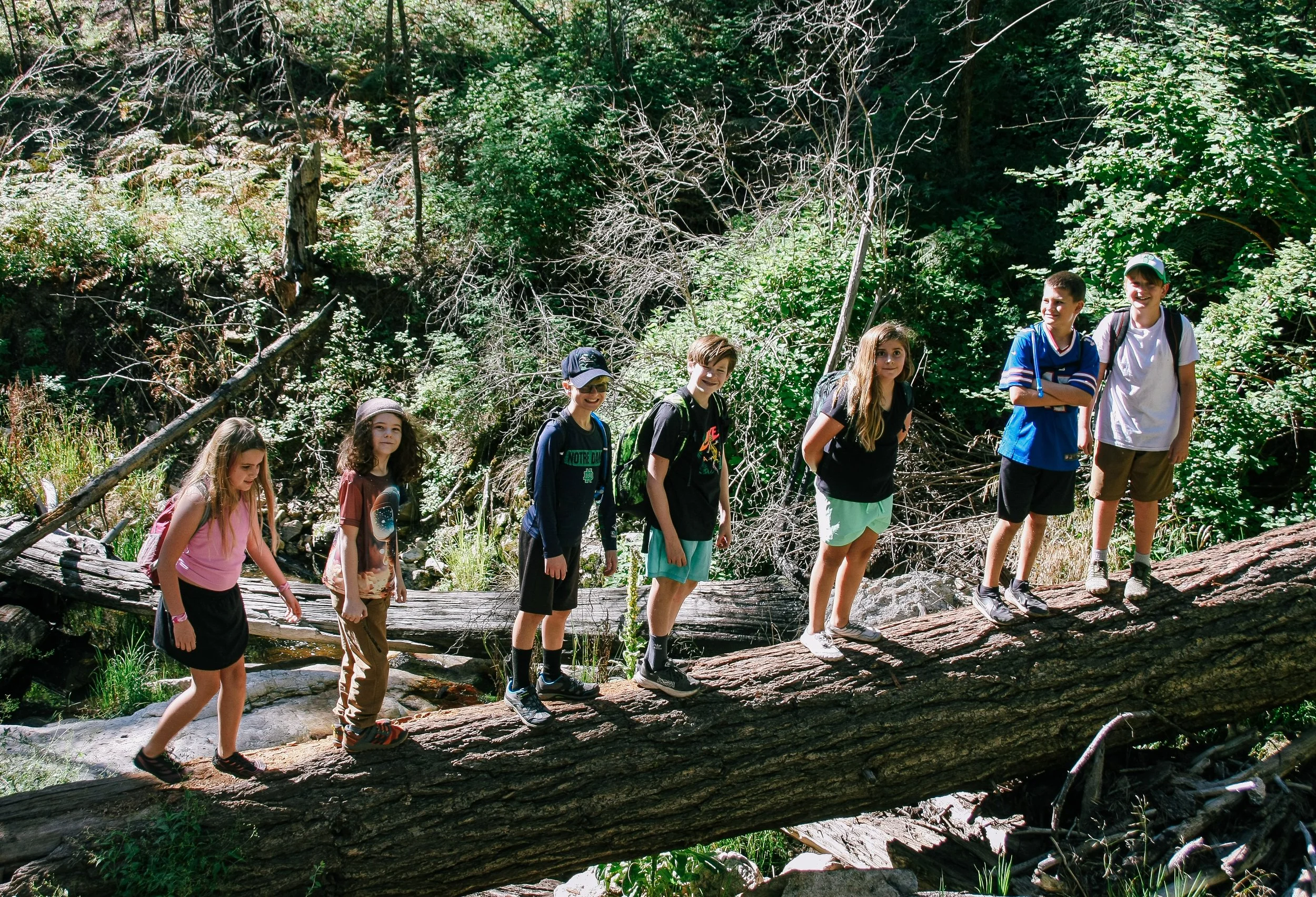 Development Team Hike