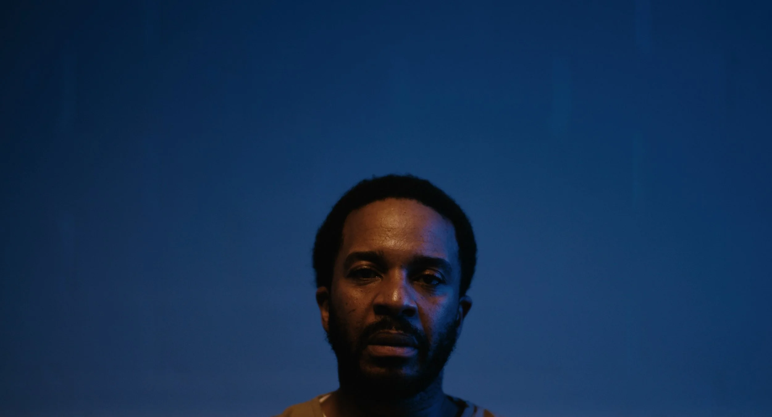 Website_THEY FIGHT_2.jpg